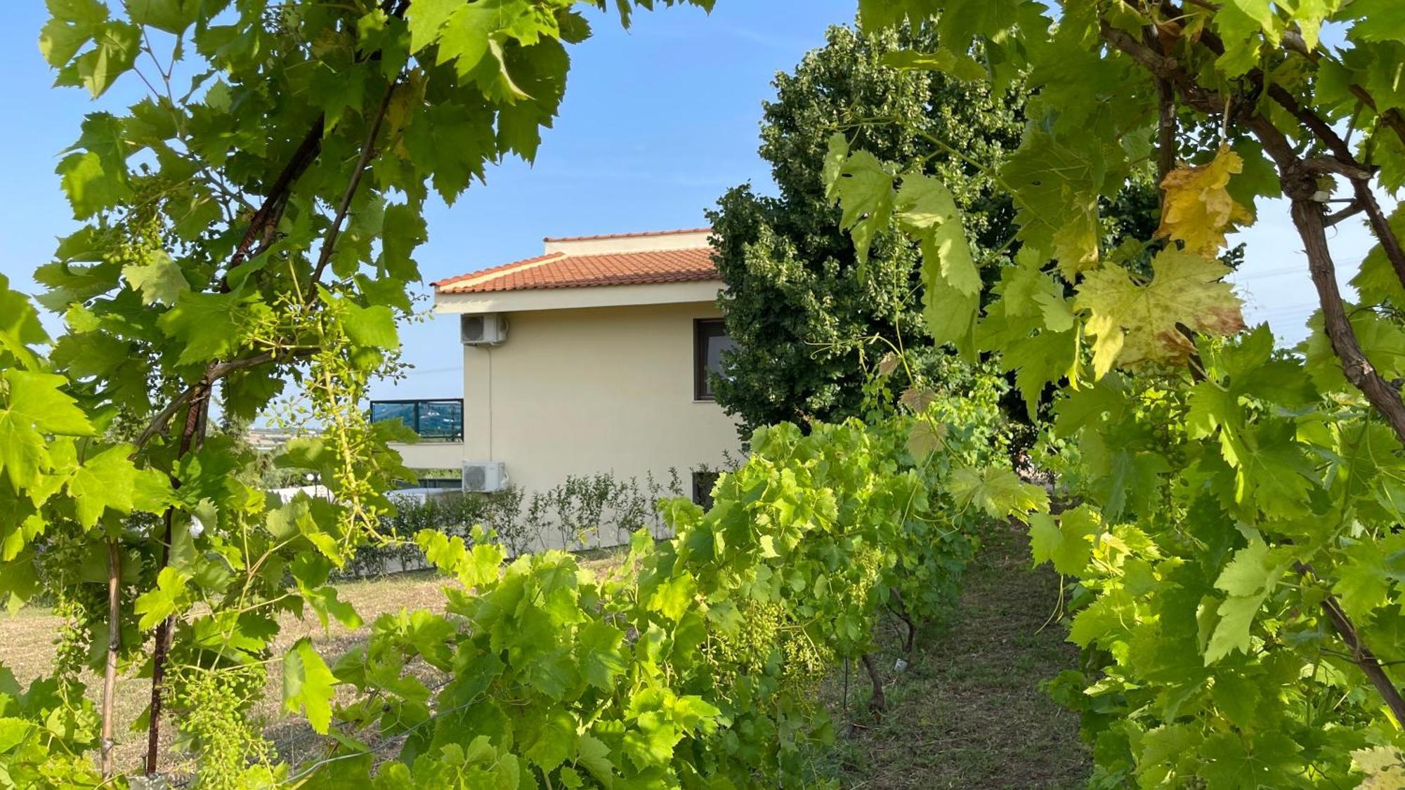 Serenity House Epanomi Dış mekan fotoğraf